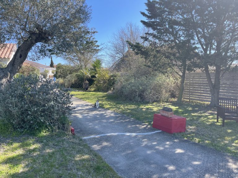 un vaste jardin pour se détendre