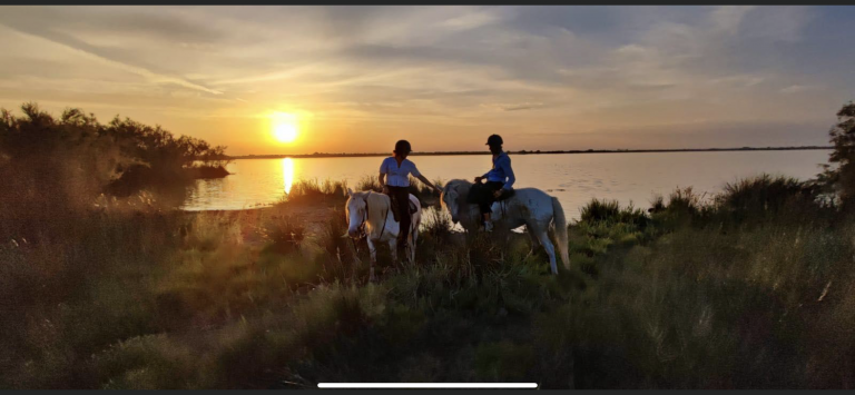 LE MAS DES SALICORNES